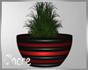 C red black plant