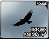 |2' Crows