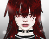 Loon