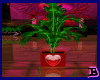 Valentine Plant