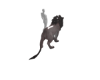 > l Fantastic Beast Leo*