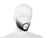 !B! +Bearded♛