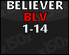 Believer