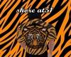TIGER-shirt (M)