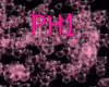 🄺 Pink Hearts PH1