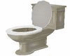NSM Toilet