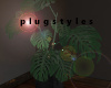 Luxe Monstera Plant