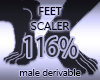 Foot Scaler Resizer 116%