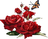 Red Rose & Butterfly