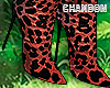 CH*Boots Jaguar