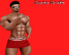 Santa Brief