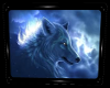 Lone Wolf Framed Picture