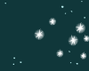 Seeing Stars(SEE13-24)P2