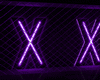 XX Purple