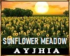 a• Sunflower Meadow
