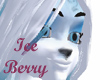 Ice Berry Hair