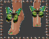 🦋Butterfly Feet