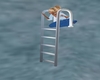 Pool Ladder Kisses