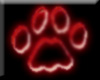 Red Cat Paw