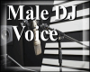 39 Male DJ Voice