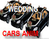 Wedding Car Set Anim
