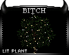 !B Holiday Lit Plant