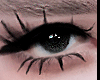 (B) Add.Lashes B.!