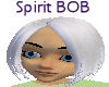 Spirit BOB