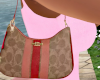 Designer Bag 2 <3