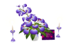 Valentine Callas Particl