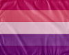Animated Lesbian Flag