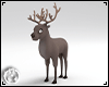 Christmas Deer Modern