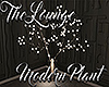 [M] The Lounge M Plant