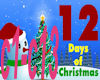 12 Days Of Christmas