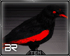 T! Neon BR crow pet MF