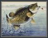 Small Mouth Bass WH