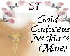 ST}Gold Caduceus Male