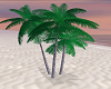 Palm Tree Cluster 2