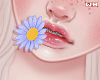 w. Blue Flower in Mouth