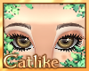|CAT| Full KiBear Brows