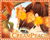 CP| Autumn Pixie Wreath