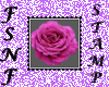 Hot Pink Rose Stamp