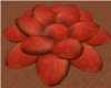 RedRustic flower