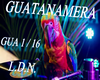 GUATANAMERA(rmx)
