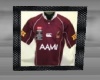 Queensland Jersy Picture
