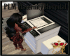 PLM Copier w/sound