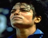 Michael Jackson Trib.