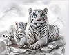 White Tiger Club