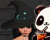 Witch's Hat Teal