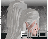 :A: Add-On White